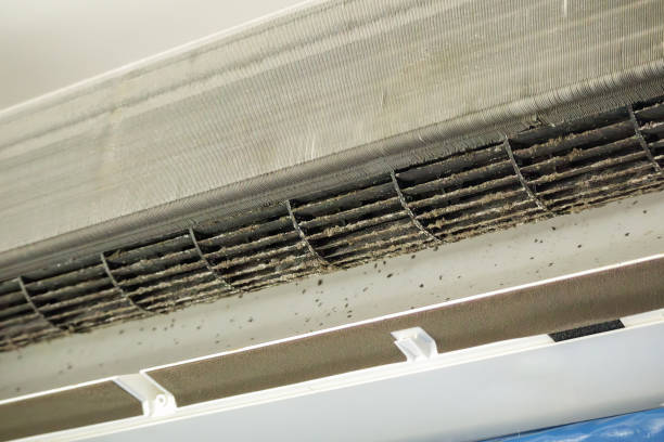 Best Home Air Vent Cleaning  in Meadville, PA